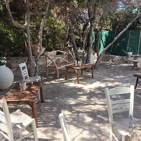 Dioni Lux 2 Pachaina