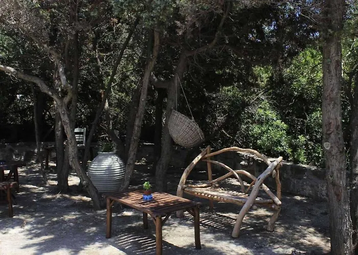 Dioni Lux 2 * Pachaina